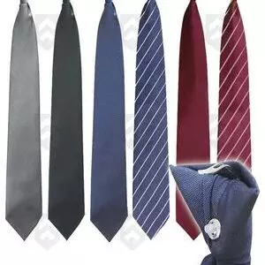 Pack de 6 Cravates