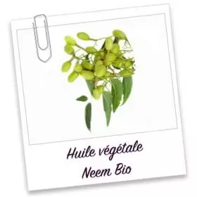Huile végétale bio: NEEM (30ml)